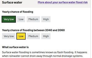 Photo 39- click for photo gallery